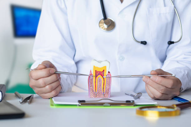Best Broken or Chipped Tooth Repair in Lynn, IN